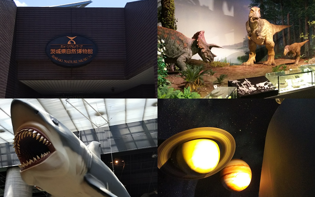 ミュージアムパーク茨城県自然博物館の外観、恐竜、サメ、宇宙