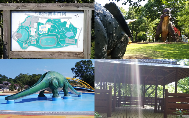 恐竜の遊具、プール、八坂公園案内図