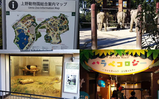 上野動物園の案内マップと動物たち